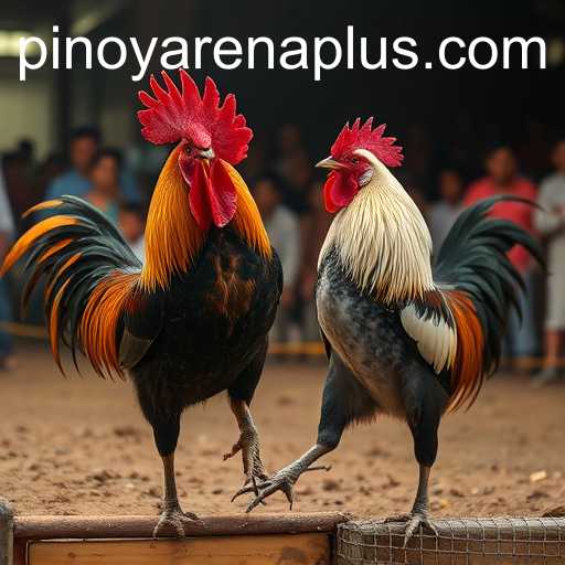 Exploring the Thrilling World of Sabong Games with ArenaPlus